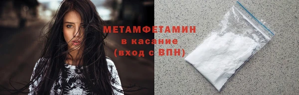индика Верхний Тагил