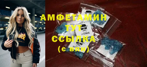индика Верхний Тагил