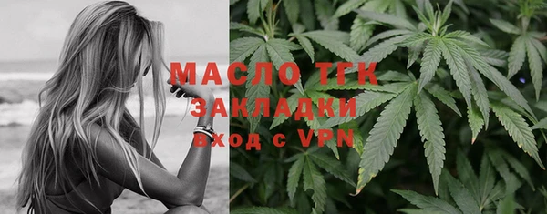 индика Верхний Тагил